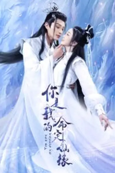 你是我的命定仙缘