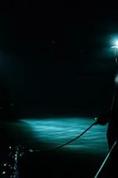 降河洄游
