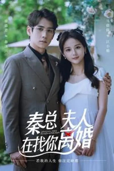 秦总，夫人在找你离婚