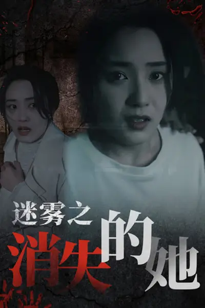 迷雾之消失的她