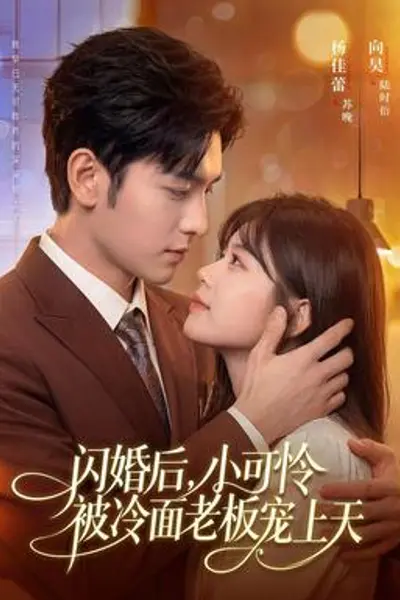 闪婚后,小可怜被冷面老板宠上天