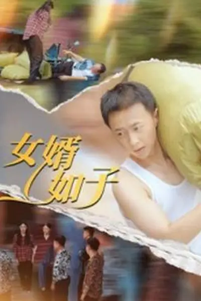 女婿如子