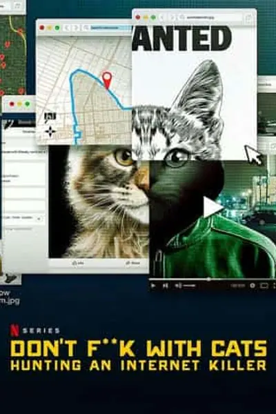 别惹猫咪：追捕虐猫者