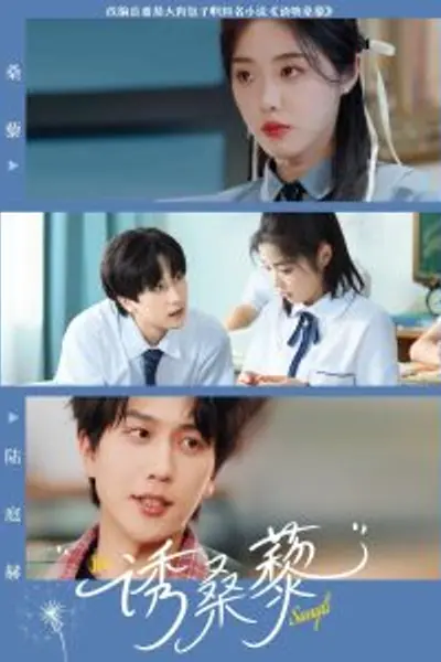 诱桑藜
