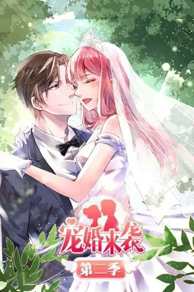 宠婚来袭第二季