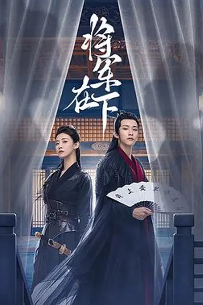 将军在下