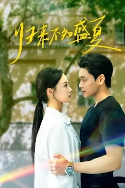 归来不知盛夏