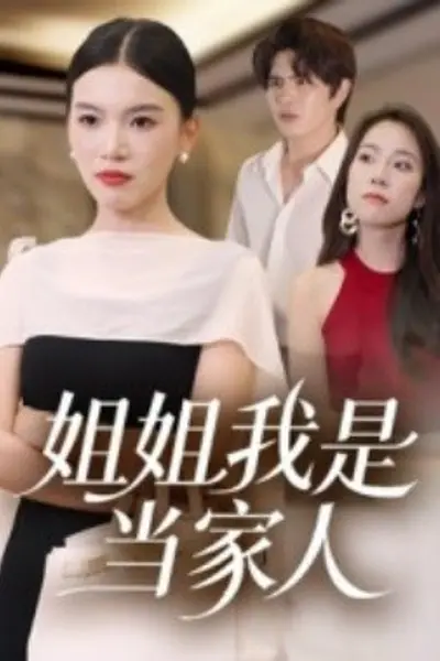 姐姐我是当家人