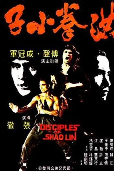 洪拳小子国语