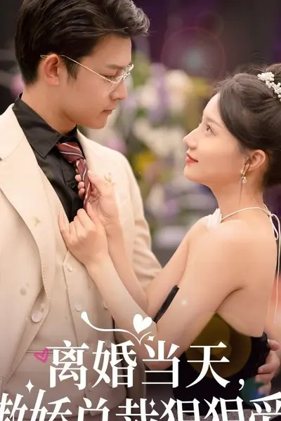 离婚当天，傲娇总裁狠狠爱
