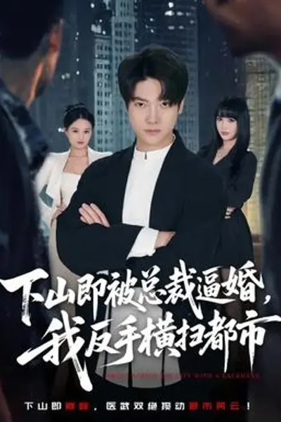 下山即被总裁逼婚,我反手横扫都市