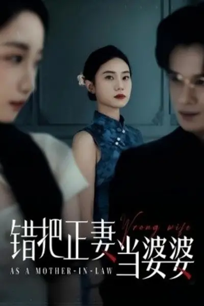 错把正妻当婆婆