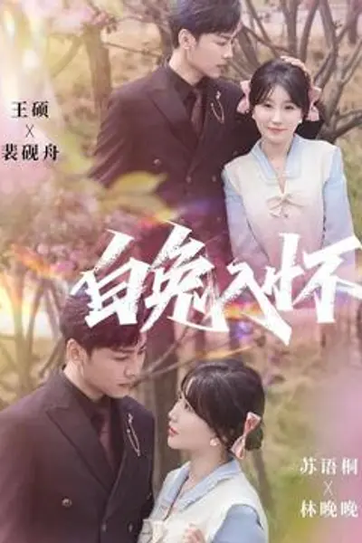 白兔入怀