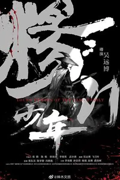 杨门少年