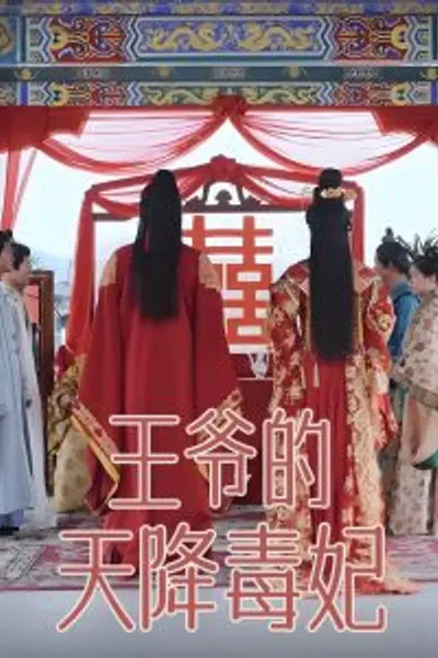 王爷的天降毒妃