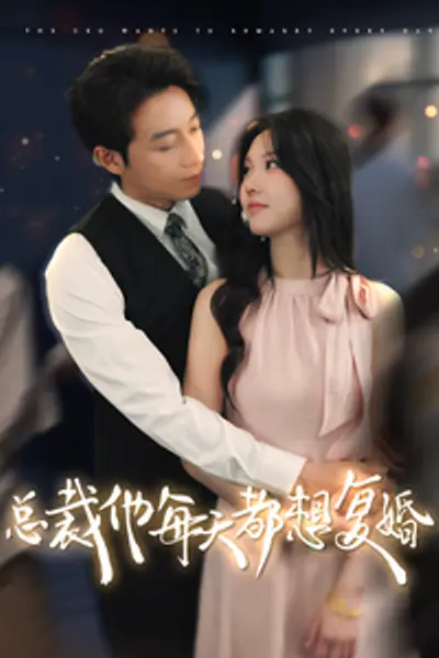 总裁他每天都想复婚
