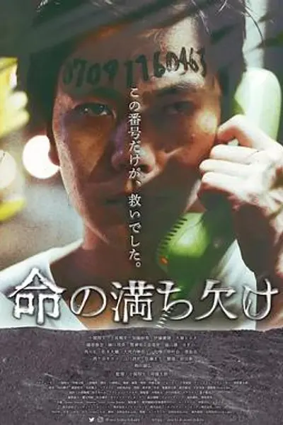 我们从烟硝开始
