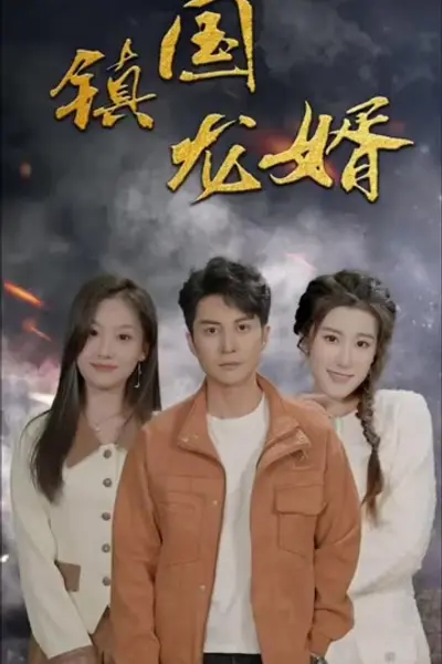 镇国龙婿