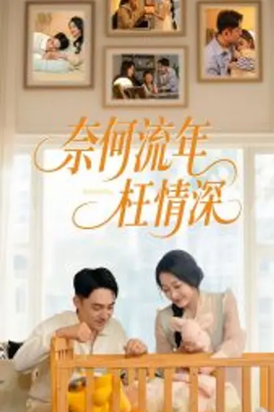奈何流年枉情深短剧