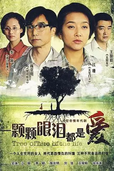 一颗颗眼泪都是爱