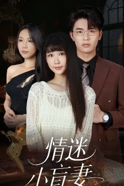 情迷小盲妻