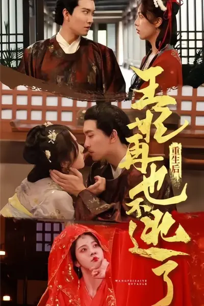 重生后王妃再也不逃了