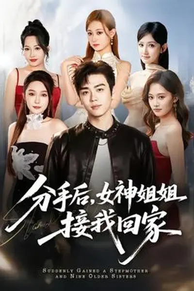 分手后,女神姐姐接我回家
