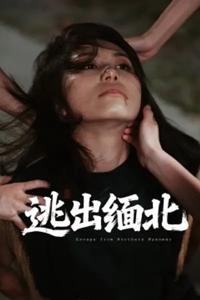 逃出缅北