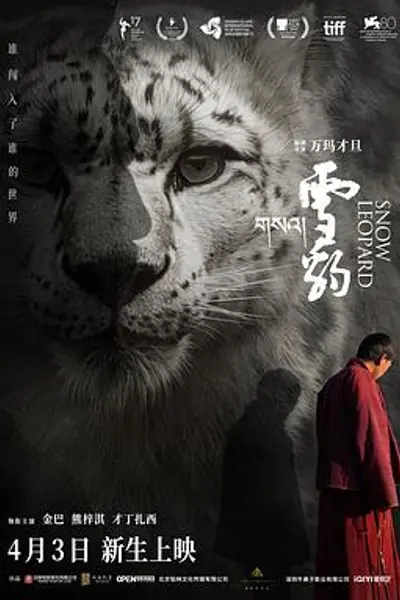 雪豹2023