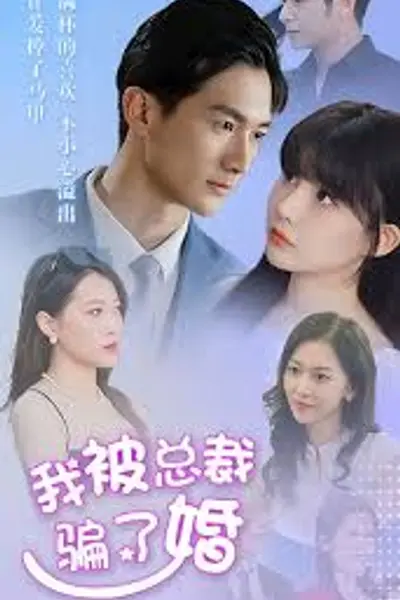 我被总裁骗了婚