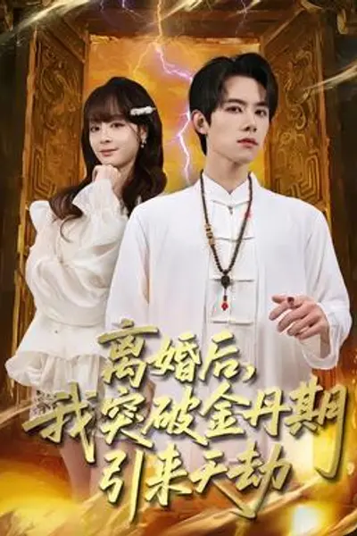 离婚后，我突破金丹期，引来天劫