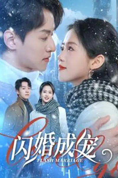 闪婚成宠