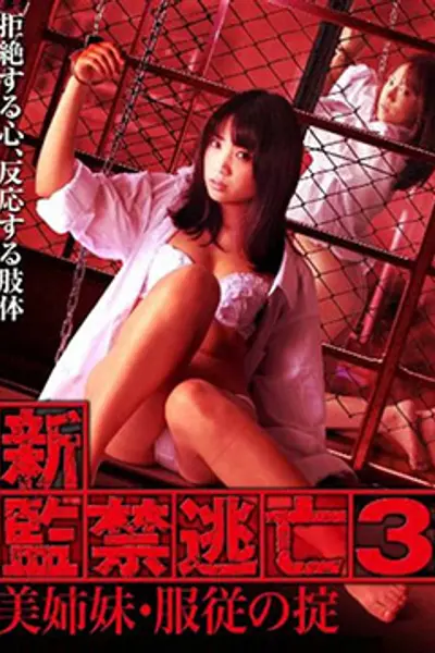 新监禁逃亡3：美姐妹服从守则