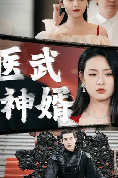 医武神婿