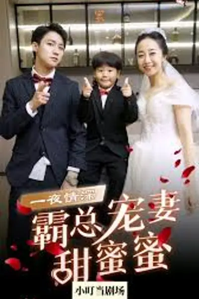 霸总宠妻甜蜜蜜
