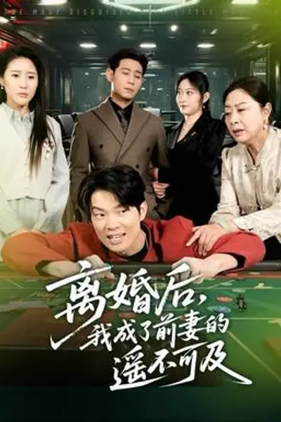 离婚后,我成了前妻的遥不可及