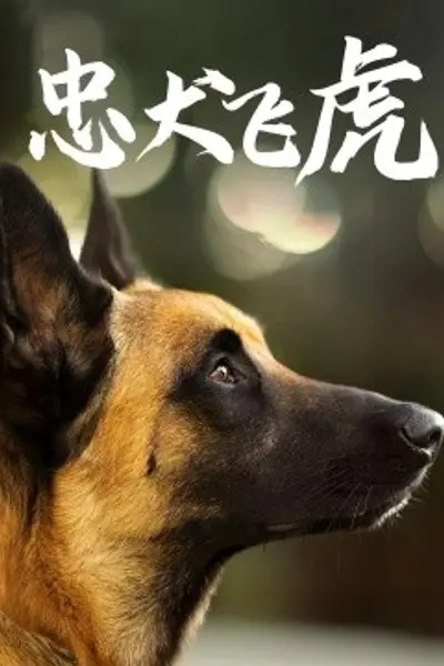 忠犬飞虎