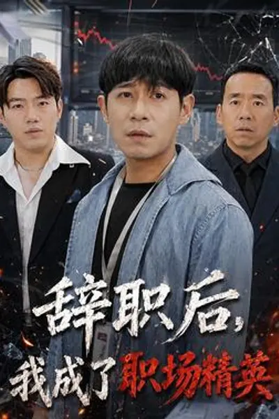 辞职后,我成了职场精英