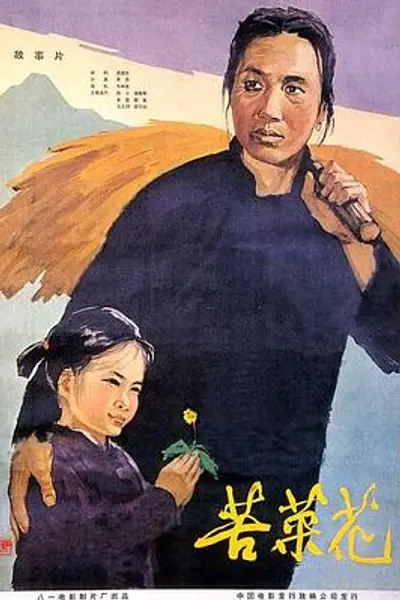 苦菜花
