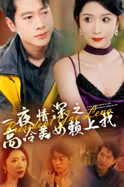 一夜情深之高冷美女赖上我