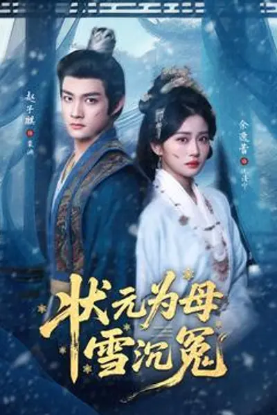 状元为母雪沉冤
