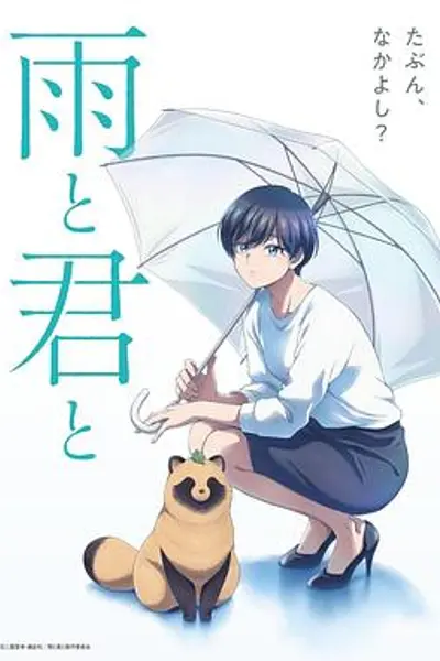 雨天遇见狸