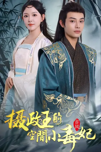 摄政王的空间小毒妃