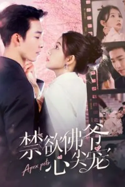 禁欲佛爷心尖宠