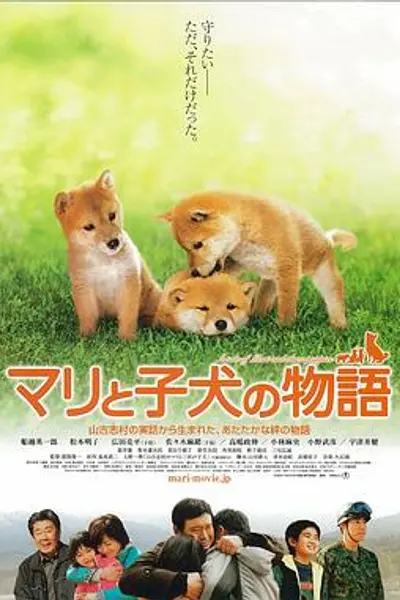 爱犬的奇迹