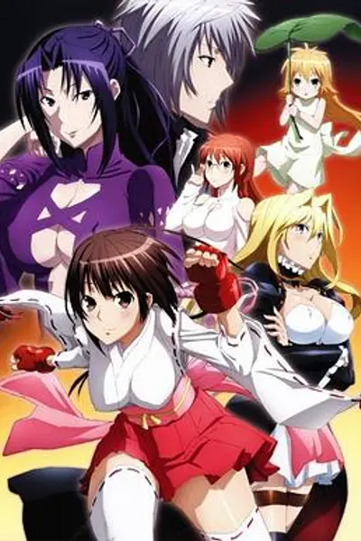 鹡鸰女神第二季