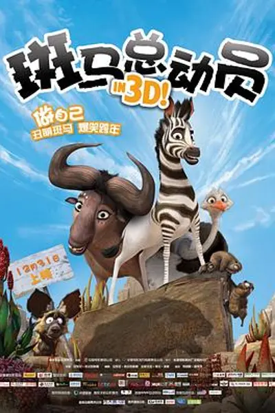 斑马总动员
