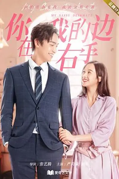 你在我的右手边第二季