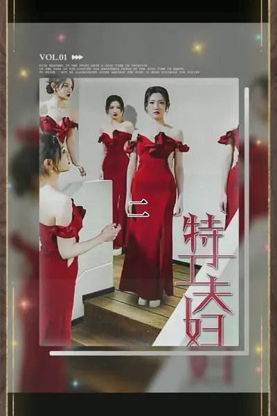 特工夫妇