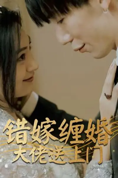 错嫁缠婚大佬送上门